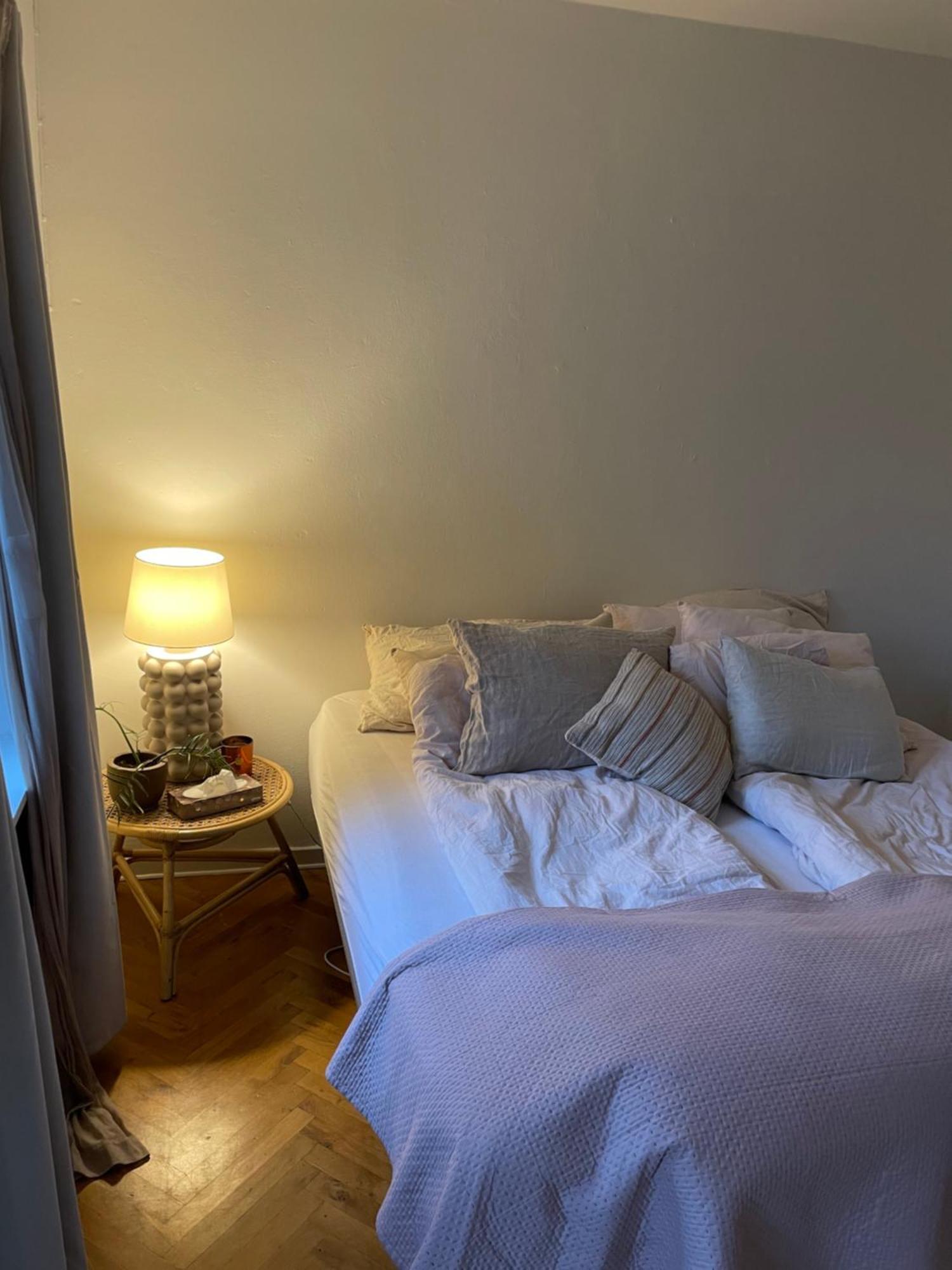 Central Lejlighed Med Udsigt Til Parken Odense Exterior photo
